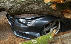 written-off car hit by tree